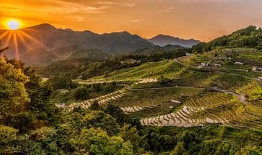 SDGAcademyX: Feeding a Hungry Planet: Agriculture, Nutrition and Sustainability