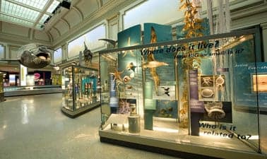 SmithsonianX: Our Global Ocean – An Introduction Course